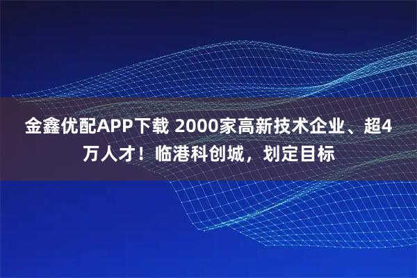 金鑫优配APP下载 2000家高新技术企业、超4万人才！临港科创城，划定目标